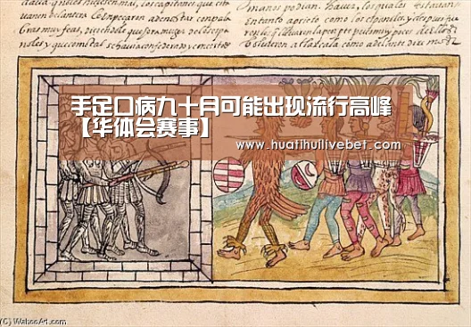 华体会平台